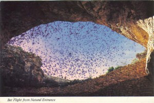 bats natural entrance